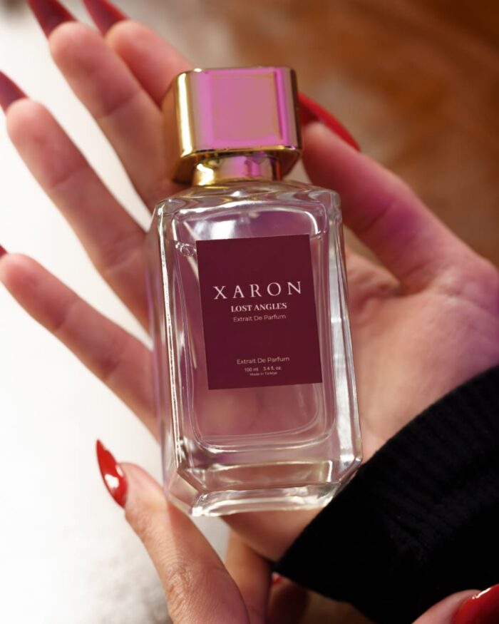 whatsapp image 2026 02 15 at 01.06.40